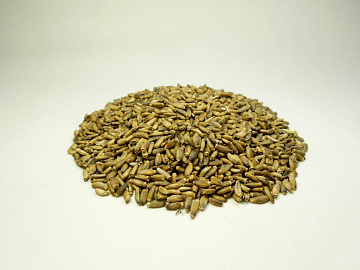 Фото Расторопша (семена)