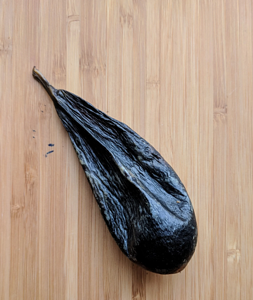 Фото Желчь медведя вяленая (50-70гр)