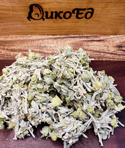 Превью Лимонник крымский сушеный