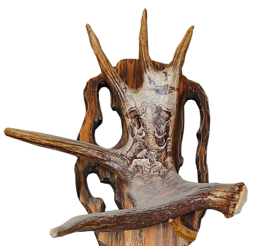 Фото Рог лося со слоном