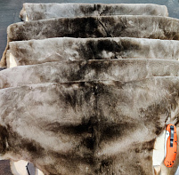 Шкурка бобра выделанная