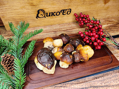 Превью Грибы белые экстра (целые), заморозка