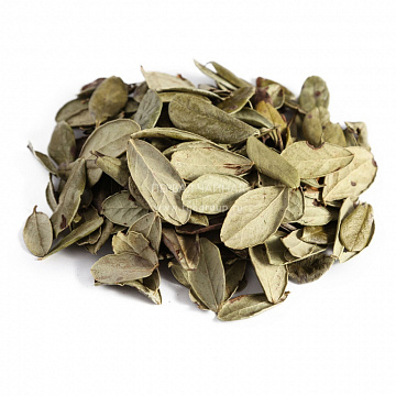 Фото Лист брусники сушеный