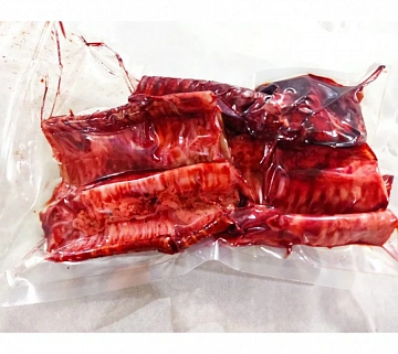 Фото Трахея марала