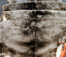 Шкурка бобра выделанная