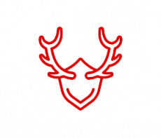 Трофеи фото