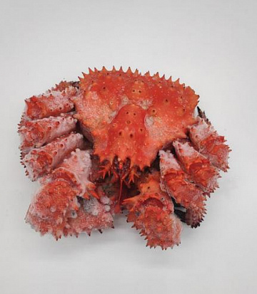 Фото Краб варено-мороженный (целый)