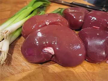 Фото Почки медведя