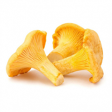 Фото Грибы лисички целые, замороженные 0,3 кг