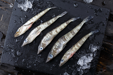 Фото Ледяная рыба 0,1-0,250кг