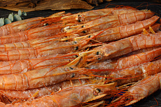 Креветка аргентинская с/г L1 10/20